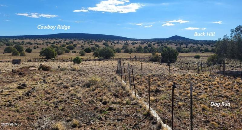 thumbnail_20251023_101926