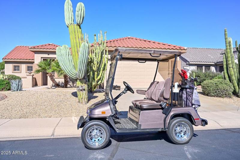 Golf Cart2