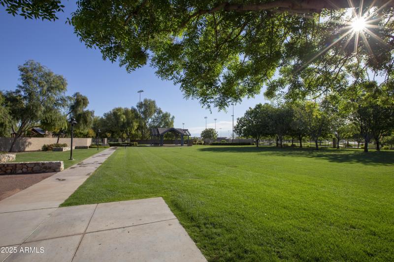 16 Heritage back lawn