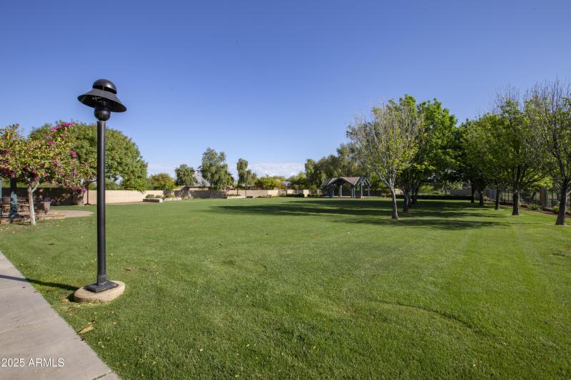 17 Heritage back lawn