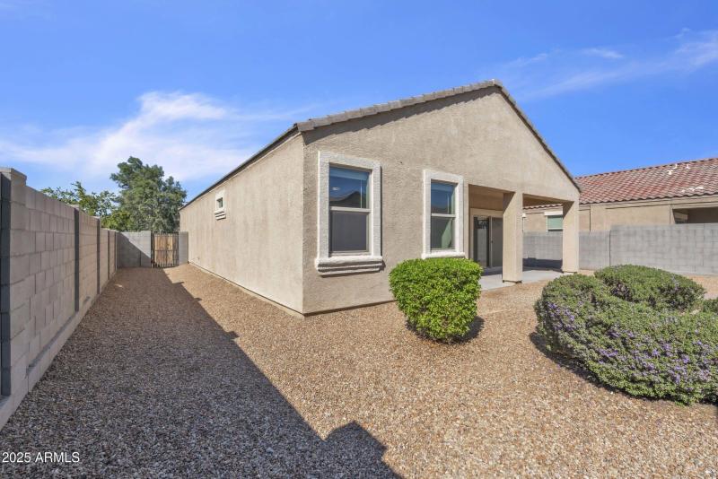 Backyard/Sideyard/Gate