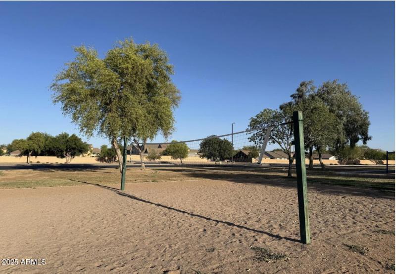 Volleyball Court