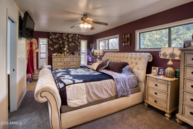 Paxmanphoto_PAX_8861