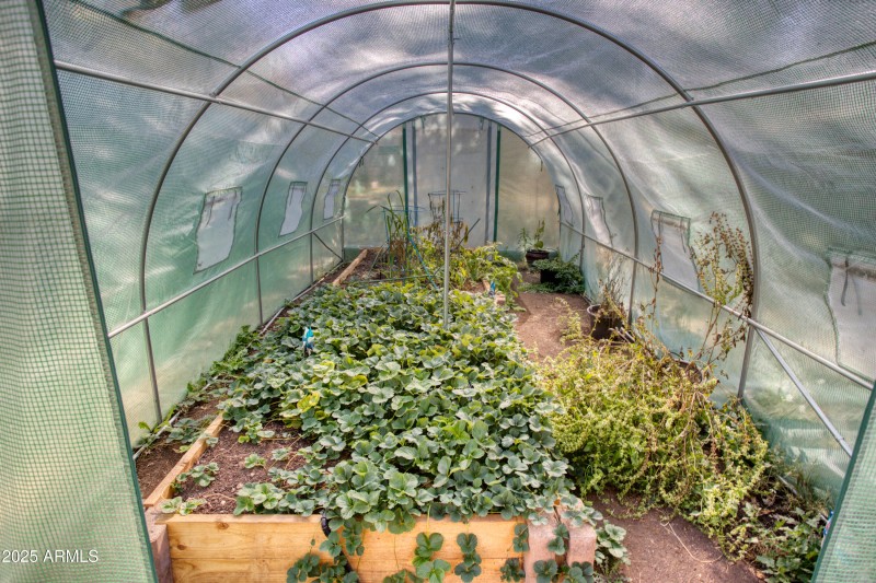 Paxmanphoto_PAX_8872