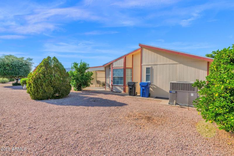 Backyard from the Northeast