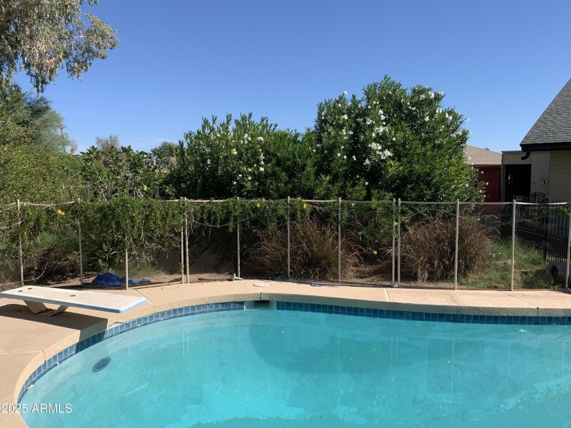 Amazing side yards mature landscaping