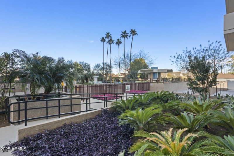 0010 Courtyard w Pool