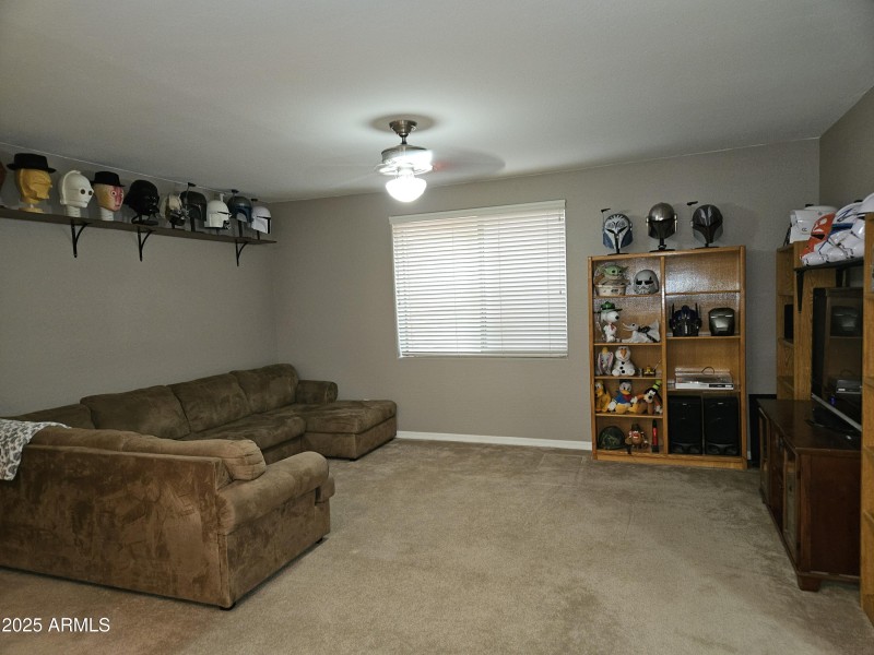 Basement Living Area