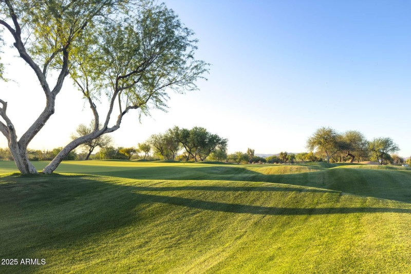 20250410174902016311000000-o