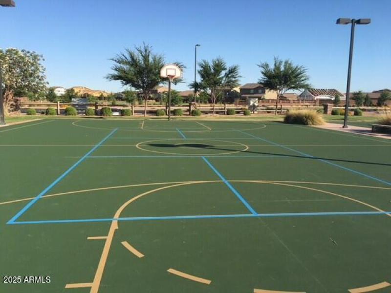 Basketball Court