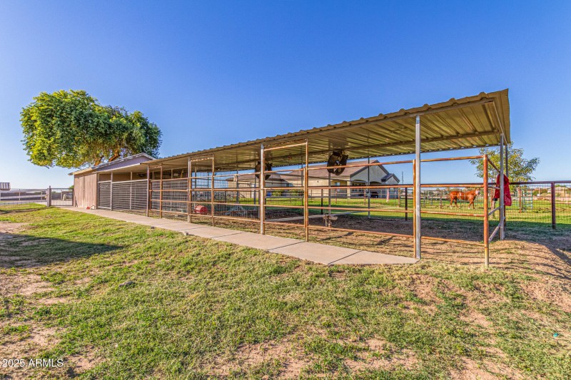 Horse Stalls & Shed