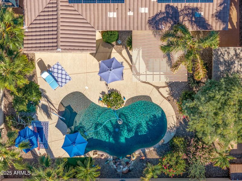 UAS Back Yard Top Down