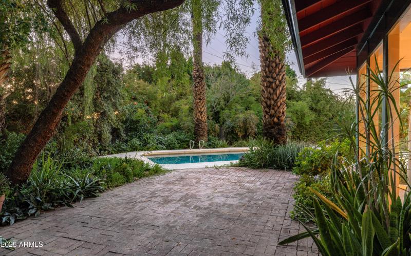 Lush Shaded Back Patio