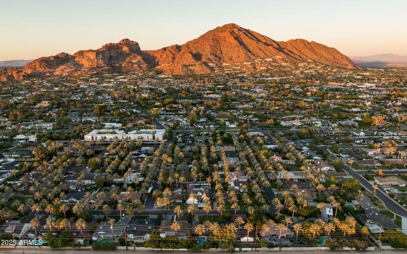 Aerial View of Historic Date Palms
