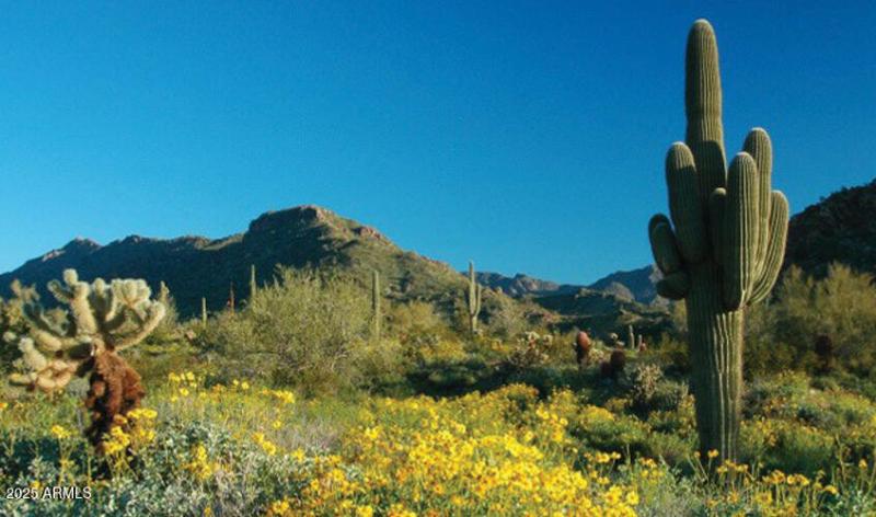 VERRADO AT THE BASE OF THE MTNS
