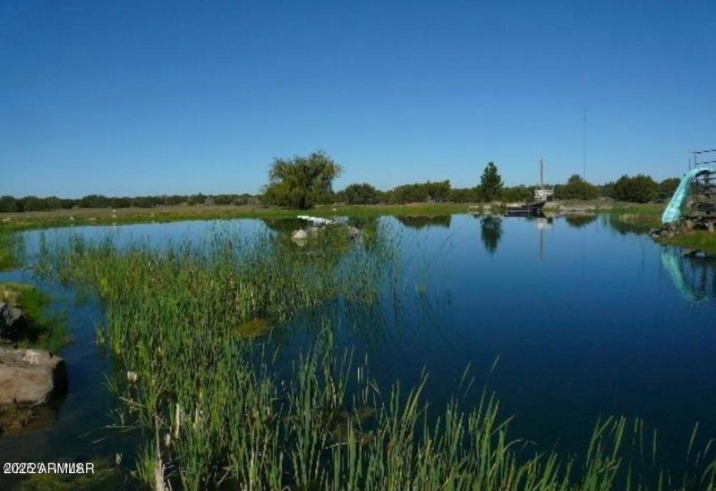 Pond back with 1st owner