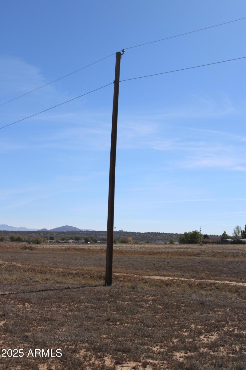 ELECTRICT RUNS IN THE BACK OF THE LOT