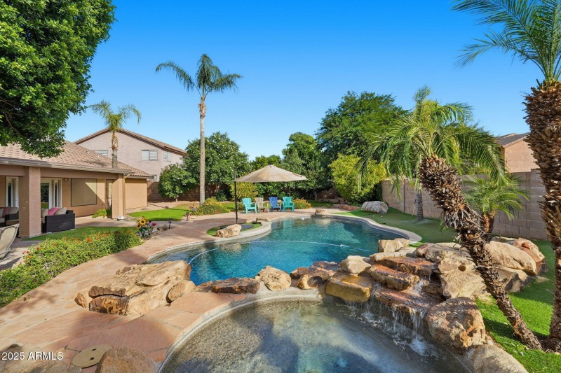 Palms and fruit trees