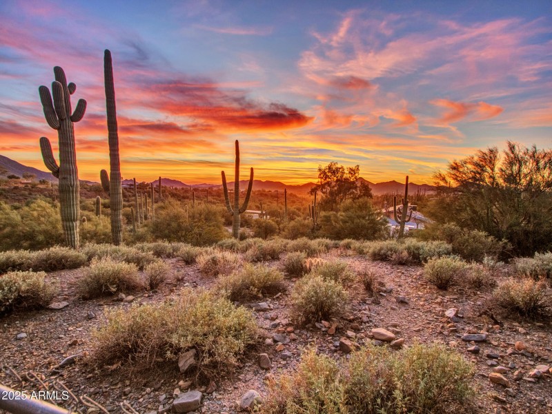 Sunset_05-View-from-Back-(1)