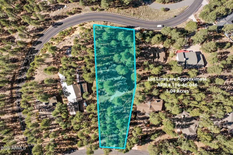 2082 William Palmer-5