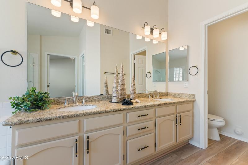 Primary Bath Vanity Area