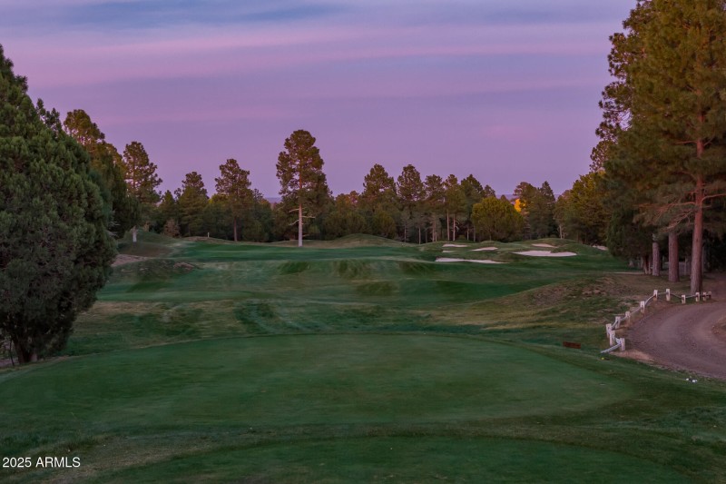 71) #16TH HOLE BEHIND HOUSE