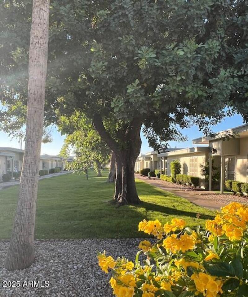 Cerro Court with flowers