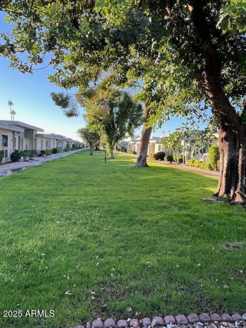 Cerro Court greenbelt