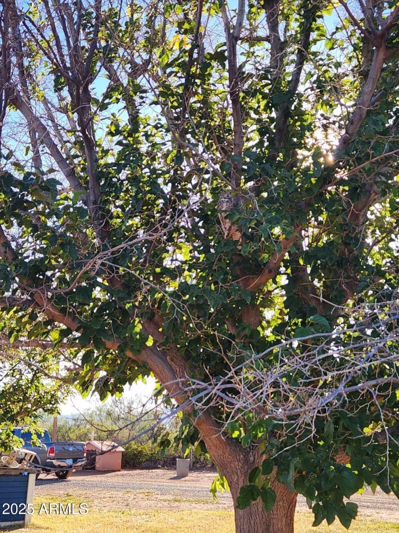 WhatsApp Image 2025-11-02 at 4.17.36 PM