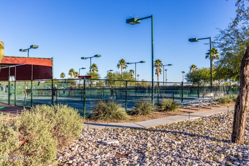 Pickleball Courts