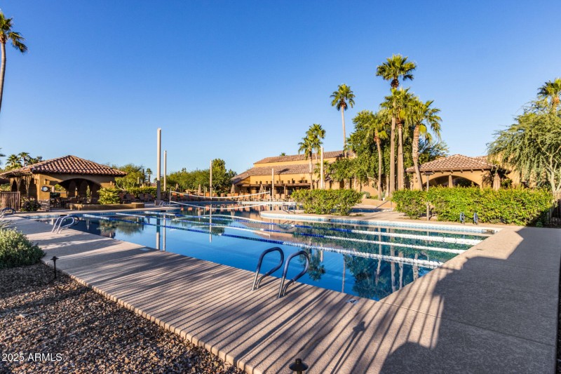 Adult Pool and Lap Pool