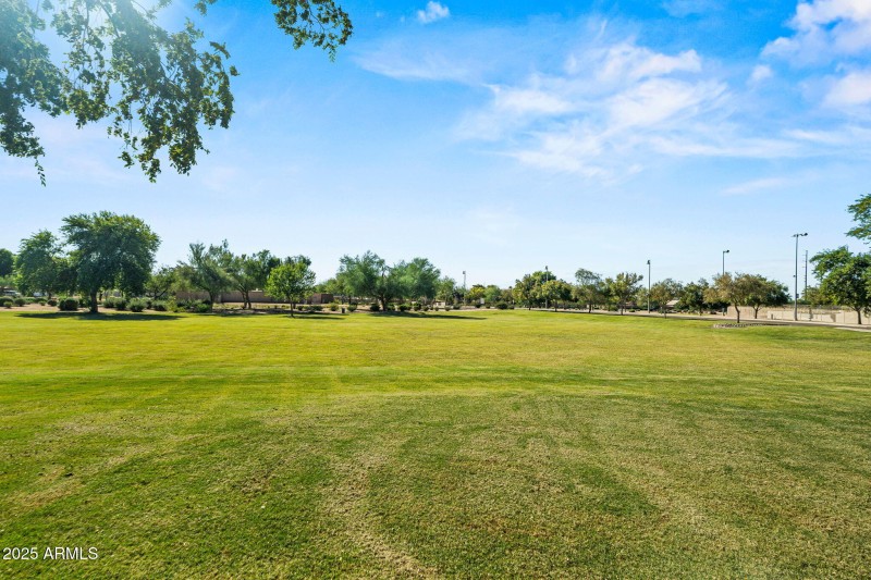 48-web-or-mls-Done-48