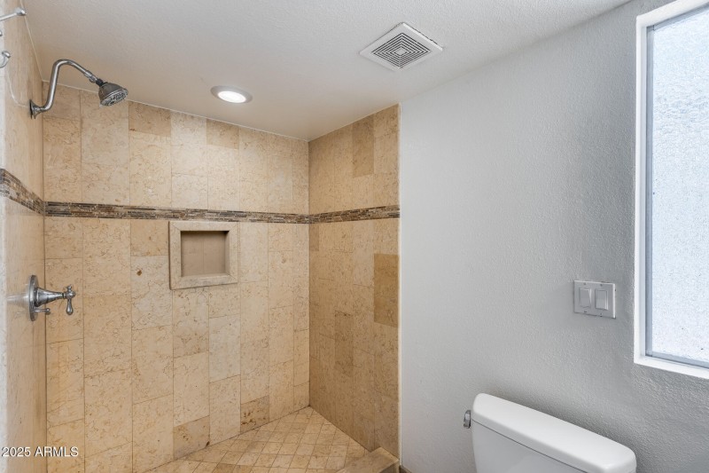 Primary bath walk-in shower