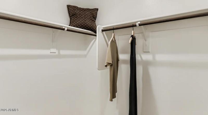 Owners Walk in Closet