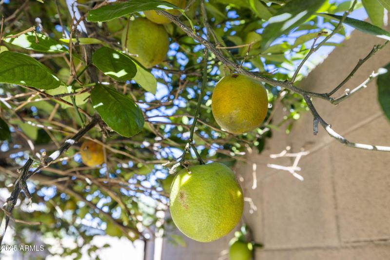 51-web-or-mls-_TM_7120