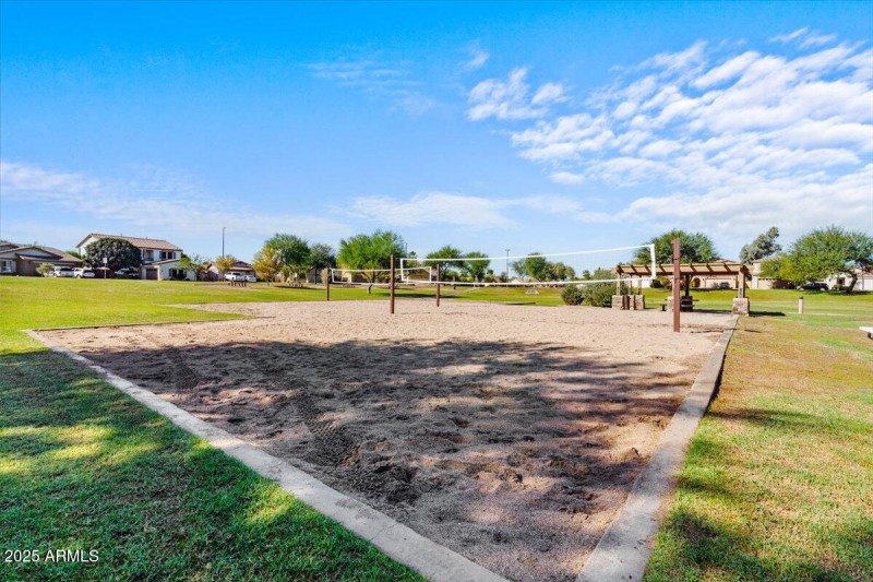 Park Volleyball