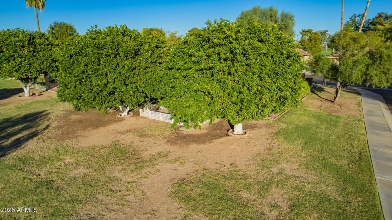 09 - Conestoga Drone