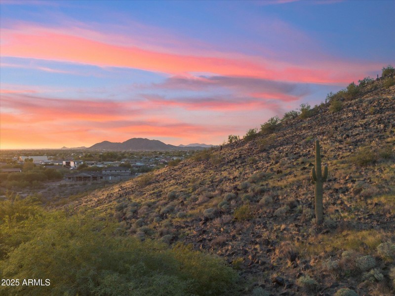 Sonoran Desert at Your Doorstep