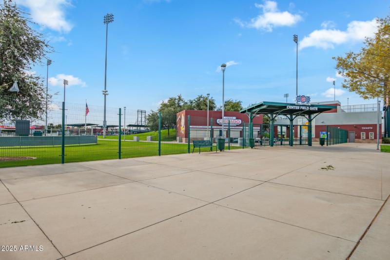 Cubs Spring Training