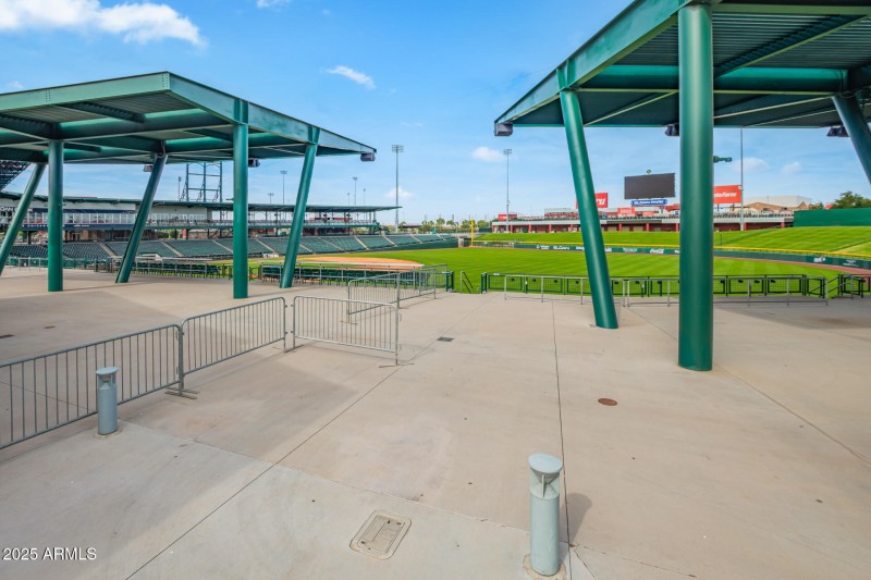 Cubs Spring Training