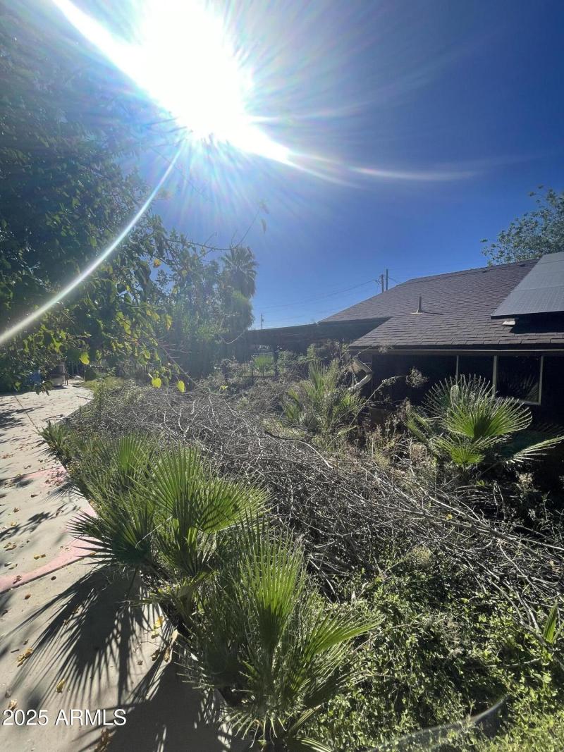 Photo Nov 04 2025, 1 55 03 PM