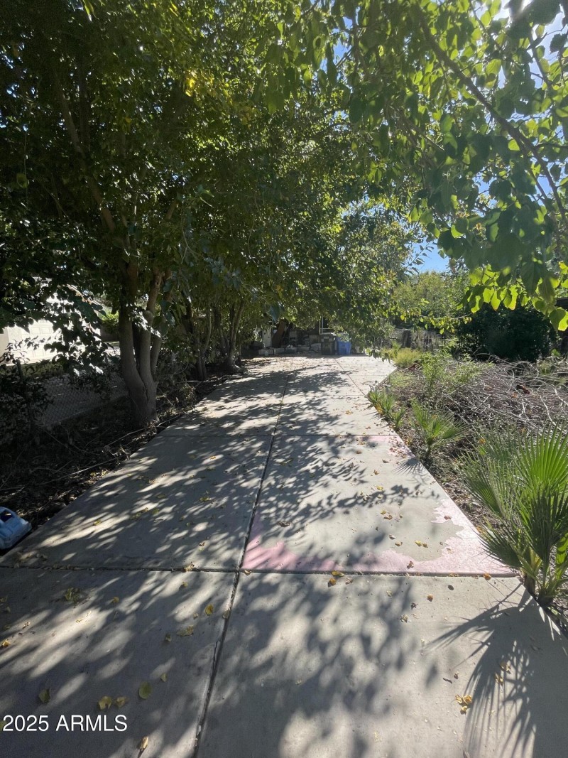 Photo Nov 04 2025, 1 55 06 PM