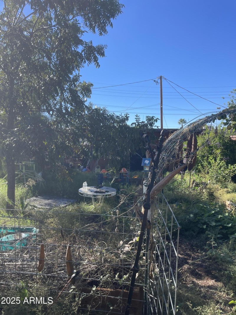 Photo Nov 04 2025, 1 56 03 PM