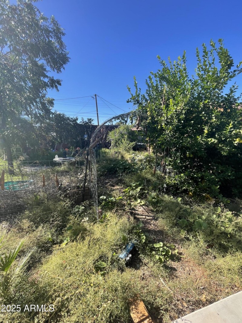 Photo Nov 04 2025, 1 56 06 PM