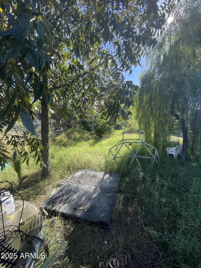 Photo Nov 04 2025, 1 56 19 PM