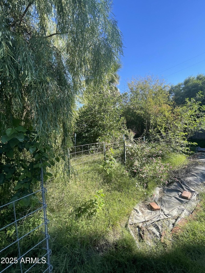 Photo Nov 04 2025, 2 01 21 PM