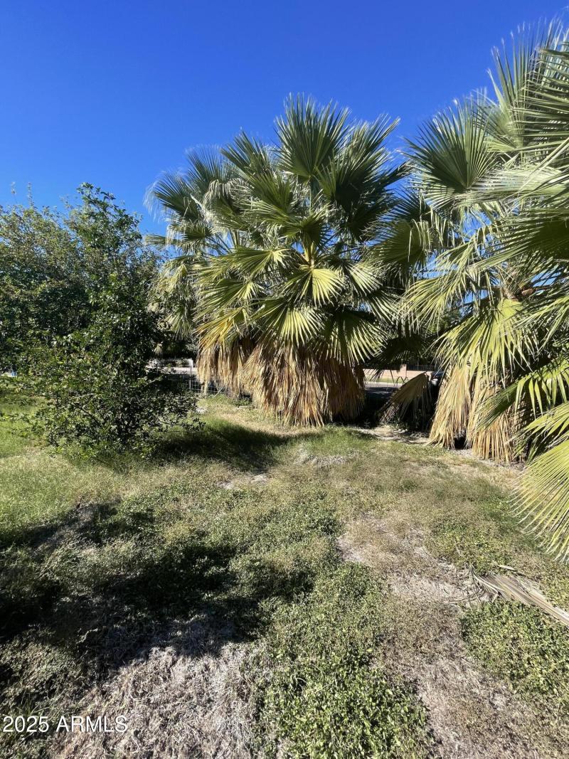 Photo Nov 04 2025, 2 02 17 PM