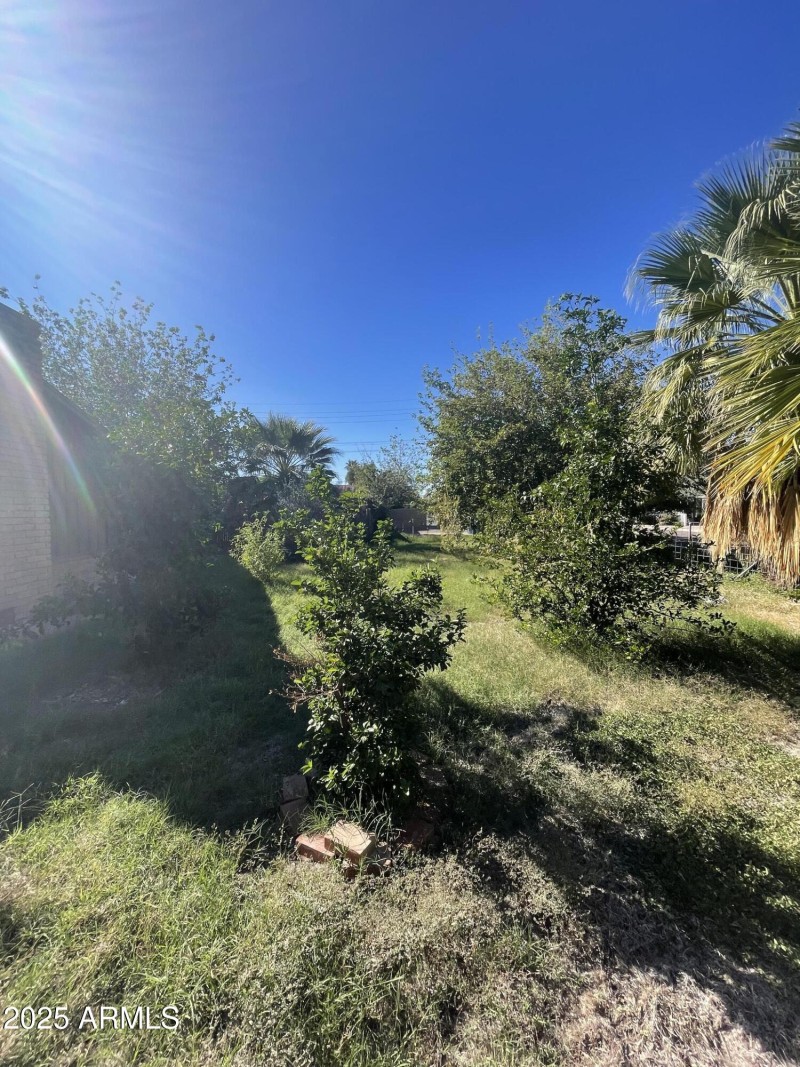 Photo Nov 04 2025, 2 02 18 PM