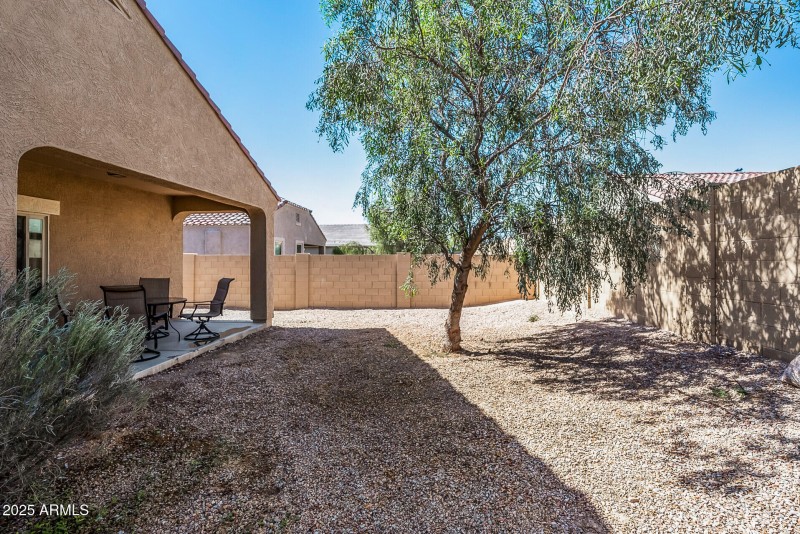 what? another tree??