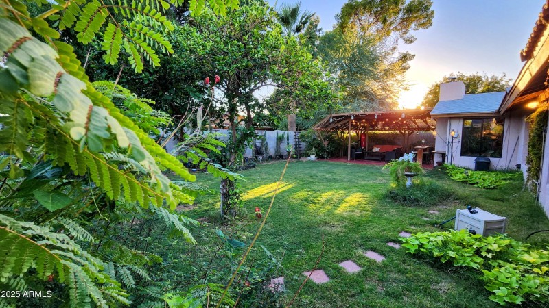 Backyard facing West 2